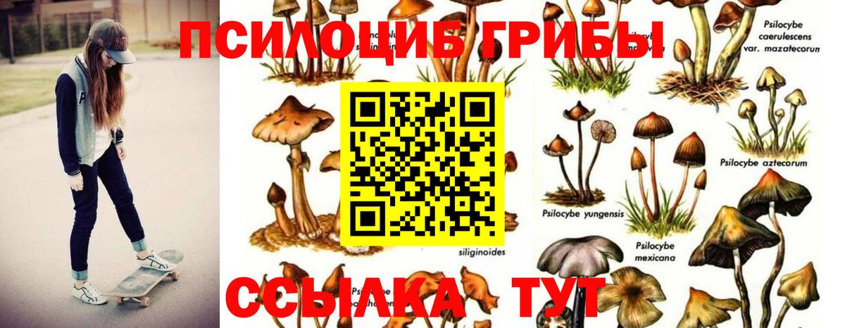 Галлюциногенные грибы Magic Shrooms  Вход с VPN  Уссурийск  Псилоцибиновые грибы Magic Shrooms 