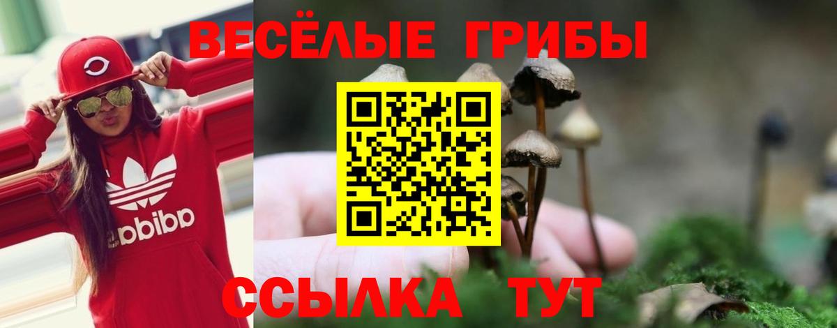 Псилоцибиновые грибы Magic Shrooms Уссурийск